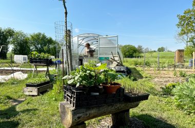 Nathalie Peters züchtet nachhaltige Blumen in Baelen