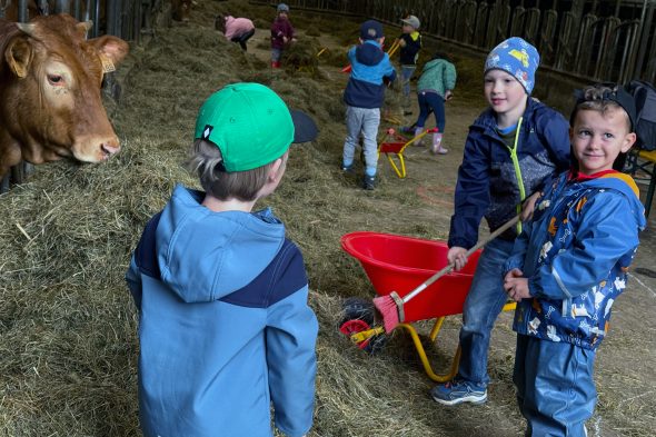 Auf dem pädagogischen Bauernhof "BioHeld" in Holzheim