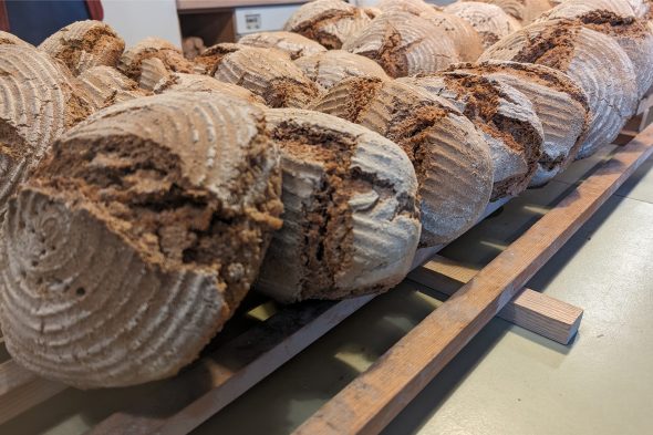 Brot backen im "Lierisch Backes" in Mürringen