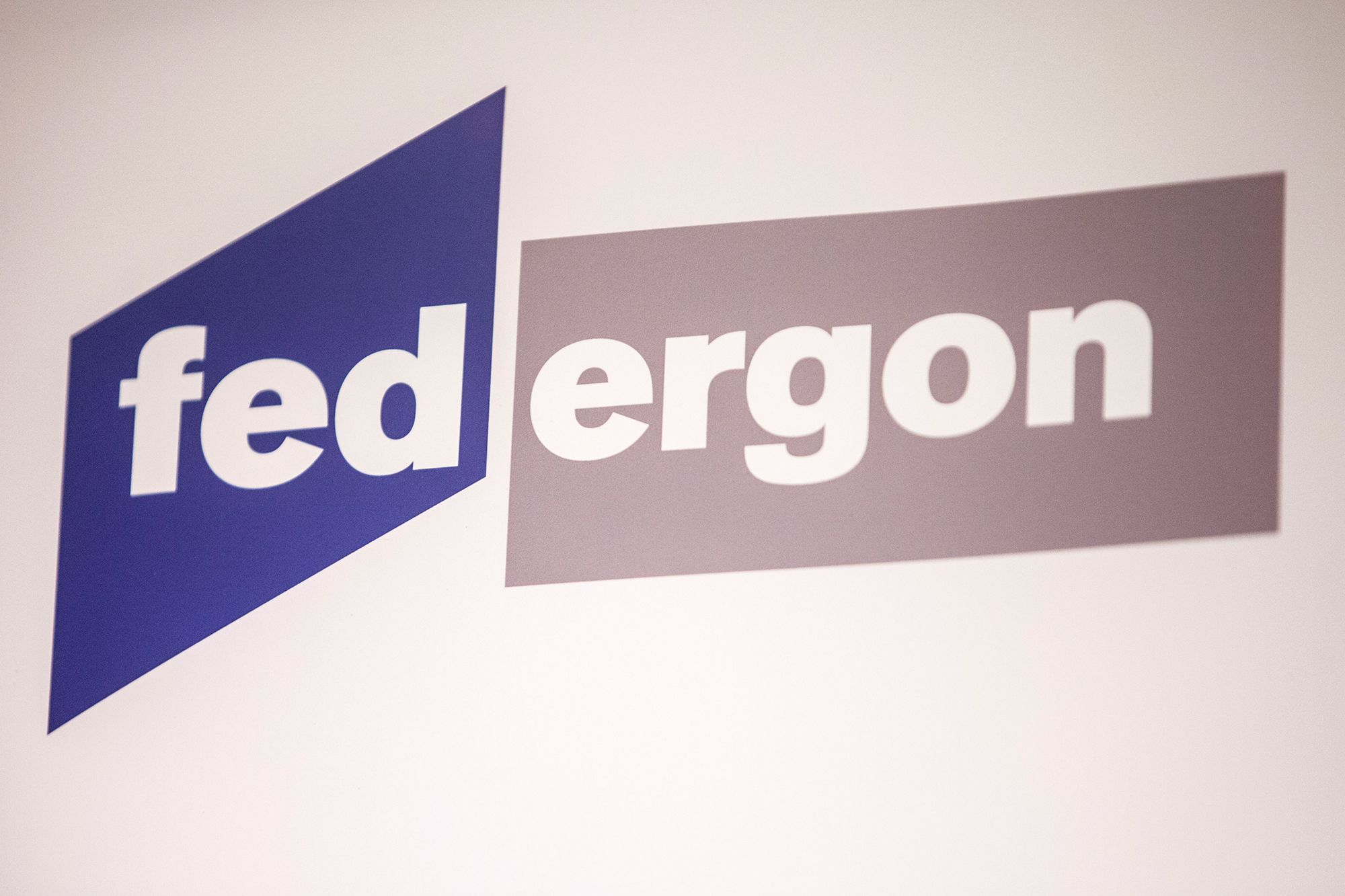 Federgon-Logo