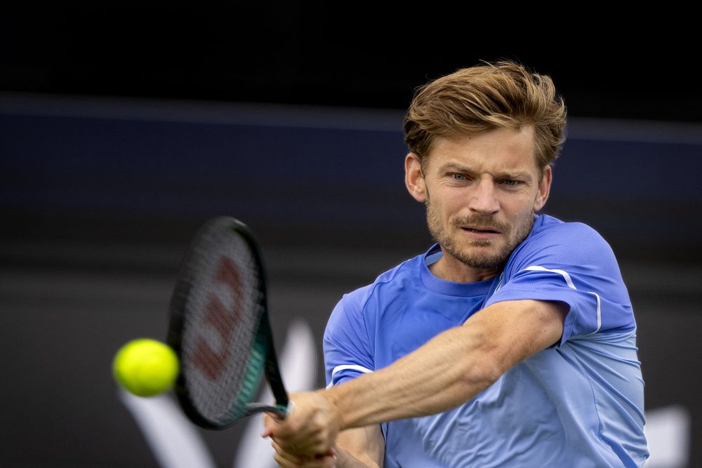 David Goffin