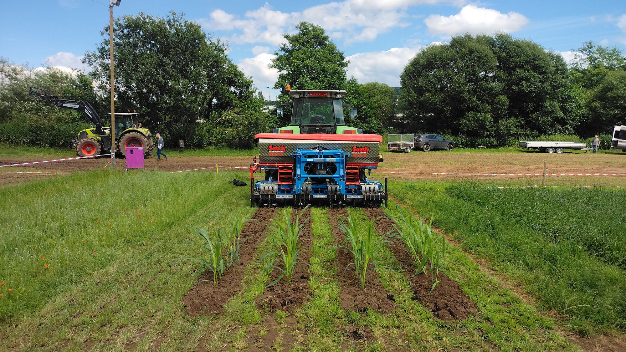 Testfeld zum Maisanbau von AgraOst