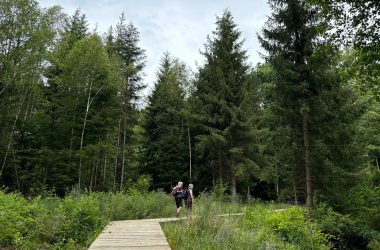 Circuitsp'Adventure: Spazierweg durch den Wald mitten in der Ren