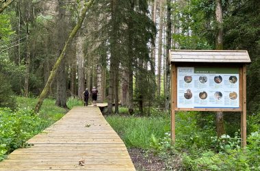 Tafeln informieren über die Flora und Fauna der Rennstrecke von Spa-Francorchamps