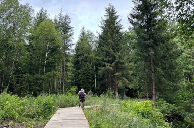 Circuitsp'Adventure: Spazierweg durch den Wald mitten in der Rennstrecke von Spa-Francorchamps