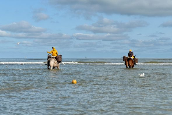 Garnelenfischer in Oostduinkerke