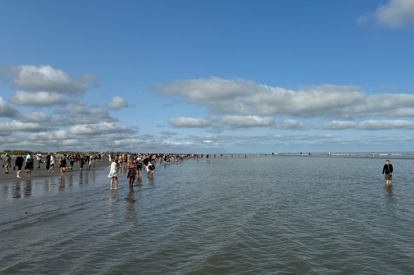 Garnelenfischer in Oostduinkerke