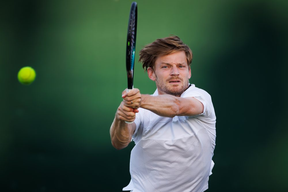 David Goffin