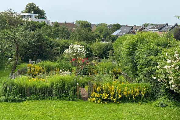 Der Kräutergarten von Michaela Schumacher-Fank