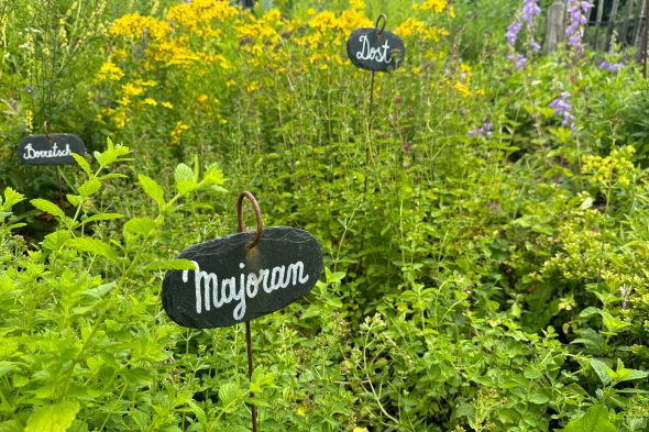 Der Kräutergarten von Michaela Schumacher-Fank