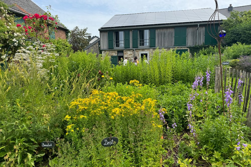 Der Kräutergarten von Michaela Schumacher-Fank