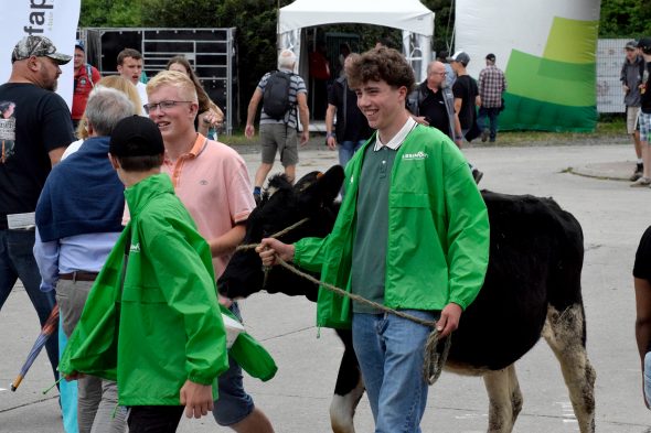 Landwirtschaftsmesse in Libramont