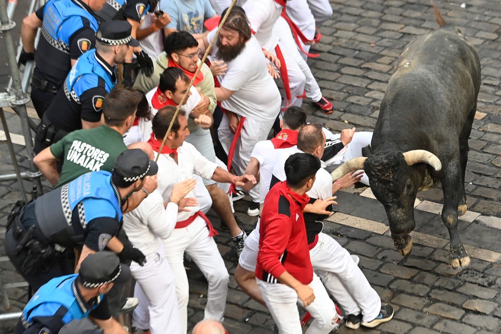 Ein Miura-Kampfstier stürmt während des letzten Stierlaufs des San-Fermin-Festes in der nordspanischen Stadt Pamplona auf die Teilnehmer zu - 14. Juli 2024