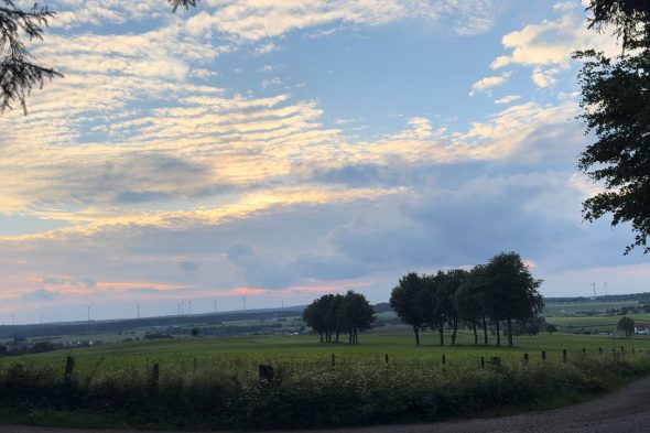 Überlebenstraining in der deutschen Eifel mit Wildnistrainer Pascal Koch