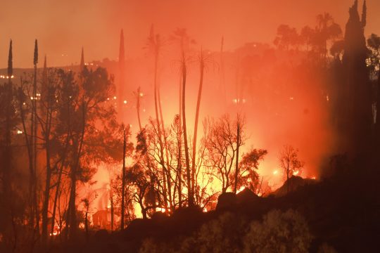 Waldbrand in Kalifornien im Juli 2024 (Bild: David Swanson/AFP)