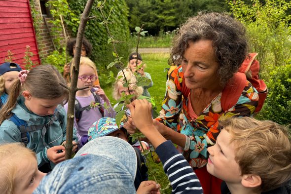 Wald-Theater-Woche von KuKuK und Agora