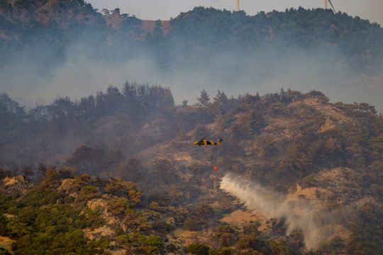 Feuerwehr kämpft gegen Waldbrände in Izmir