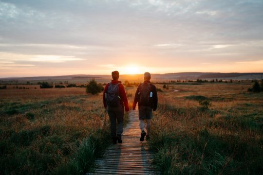 Venntrilogie: Hohes Venn