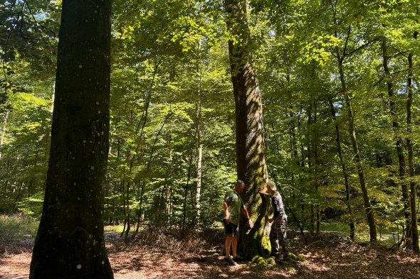 Waldbaden in Heppenbach