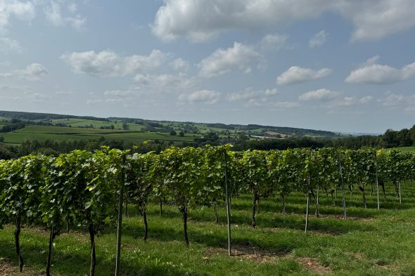 Weingut "Domaine Crutzberg" von Eugène Ernens