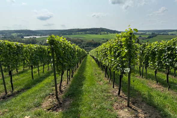 Weingut "Domaine Crutzberg" von Eugène Ernens