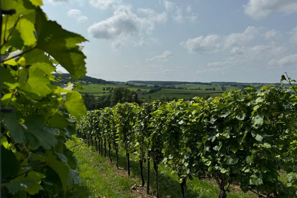 Weingut "Domaine Crutzberg" von Eugène Ernens