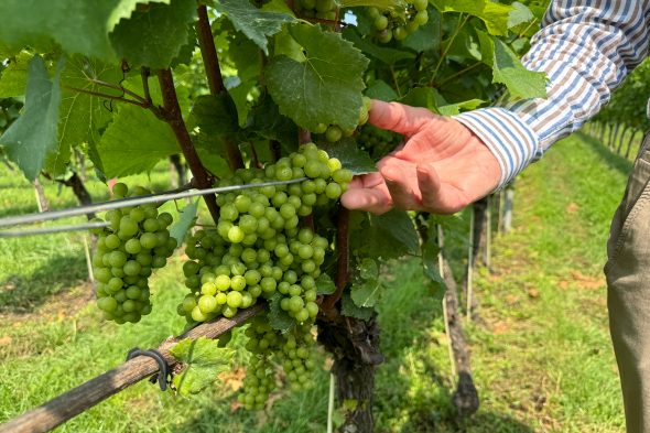 Weingut "Domaine Crutzberg" von Eugène Ernens