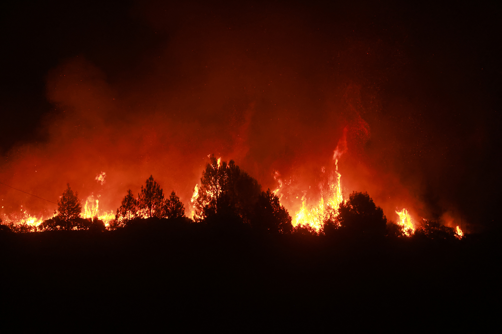 Bisher fielen mehr als 2.800 Hektar Land den Flammen zum Opfer