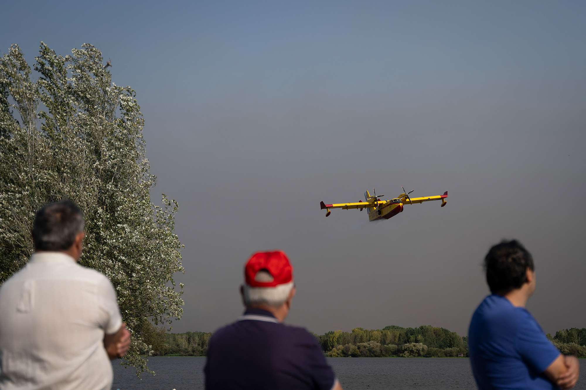 Menschen beobachten ein spanisches Löschflugzeug während eines Waldbrands in der portugiesischen Stadt Aveiro