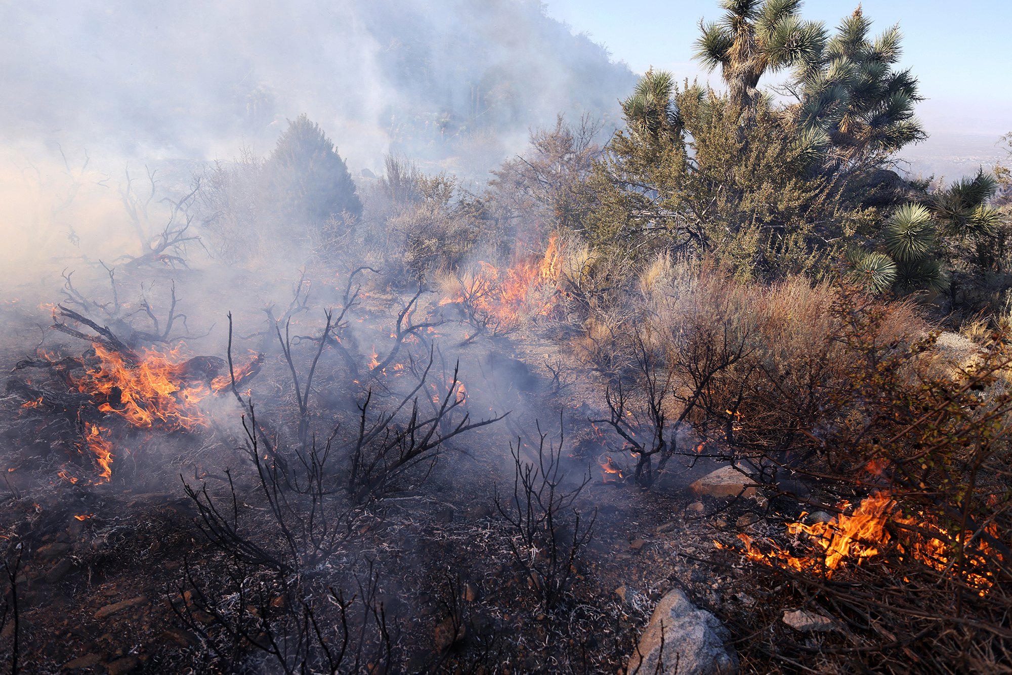 Feuer in der Nähe von Los Angeles