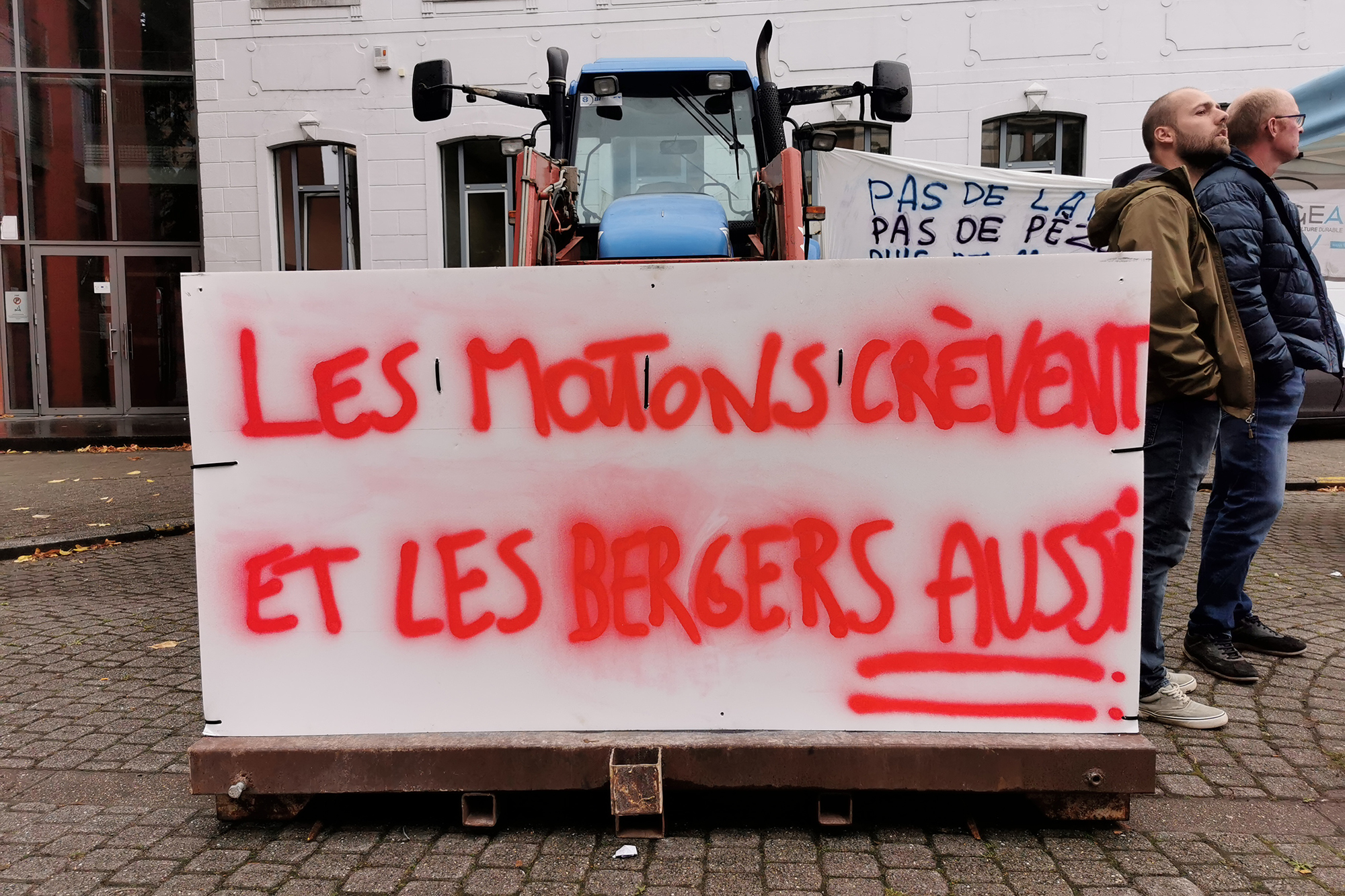 "Die Schafe verrecken - und die Landwirte auch" steht auf einem Plakat bei der Demo der Landwirte in Namur