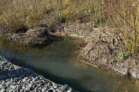 Das verstopfte Rohr löst die Überschwemmung aus