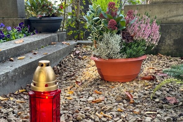 Windlicht und Blumen auf einem Grab auf dem Eupener Friedhof