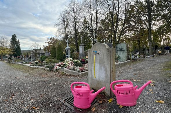 Rosa Gießkannen auf dem Eupener Friedhof