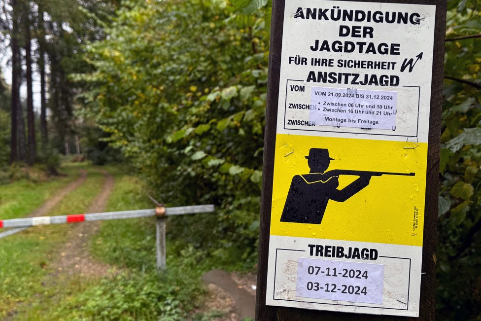 Die Jagdsaison ist in vollem Gange