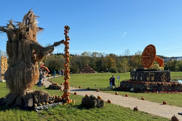 Kürbisschau auf dem Krewelshof in Mechernich