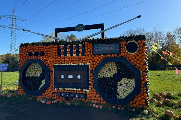 Kürbisschau auf dem Krewelshof in Mechernich