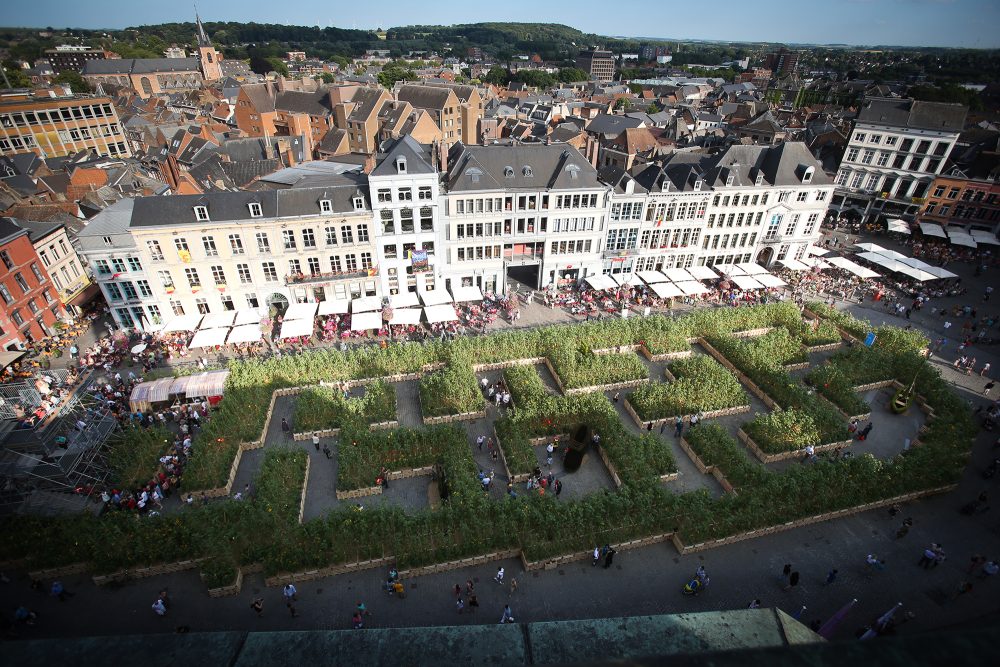 Sonnenblumen-Labyrinth in Mons 2015