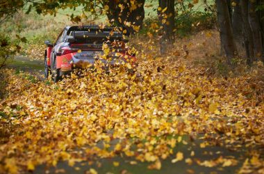 Rallye Zentraleuropa: Thierry Neuville/Martijn Wydaeghe fahren durch Laub