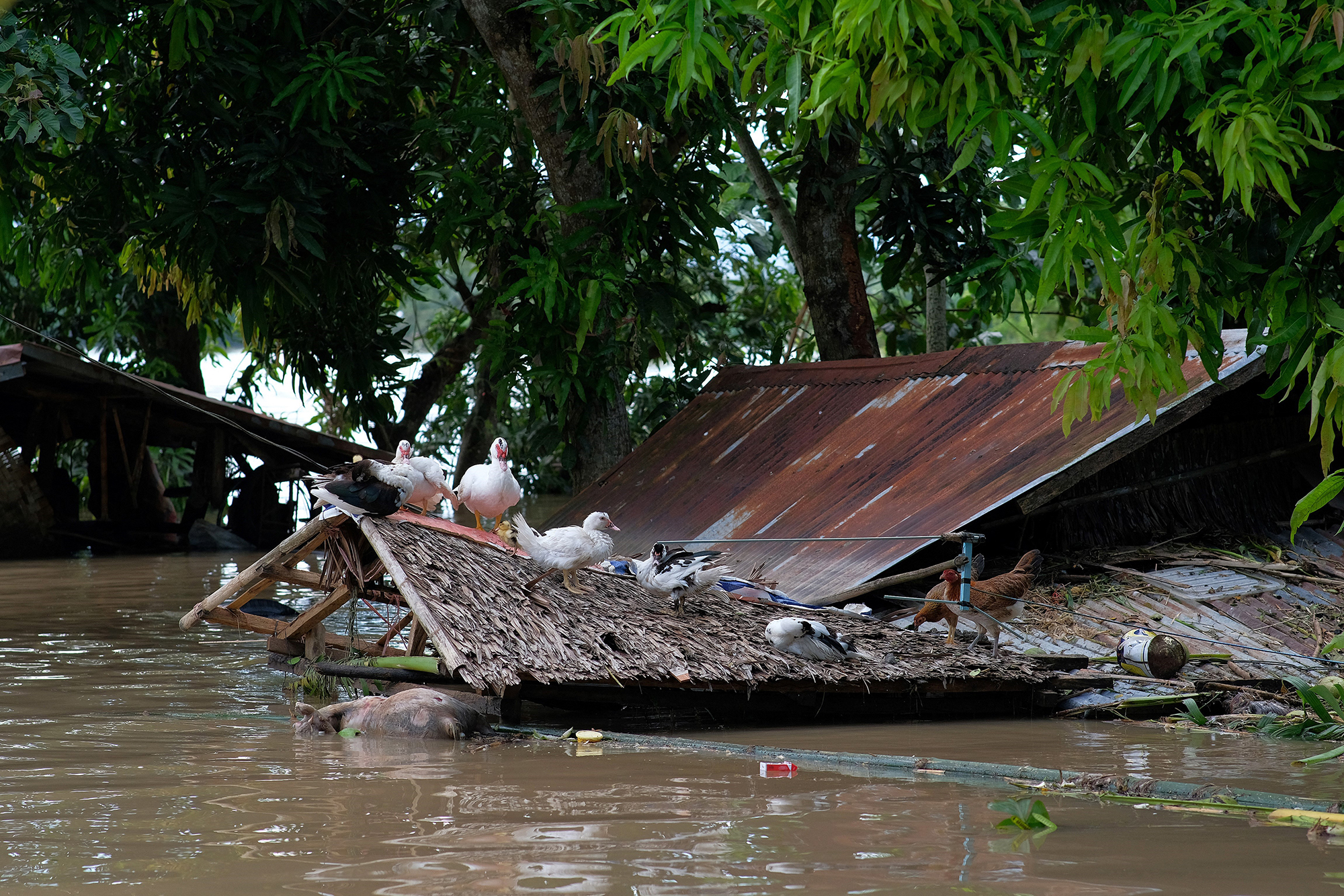 Überschwemmtes Haus in Bula in der Provinz Camarines Sur nach dem Tropensturm Trami