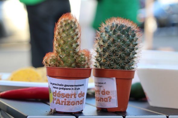 CSC protestiert auf dem Marktplatz in Eupen gegen die "Arizona-Wüste"