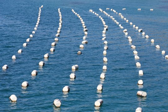 Plastikcontainer im Meer auf einer Muschelfarm