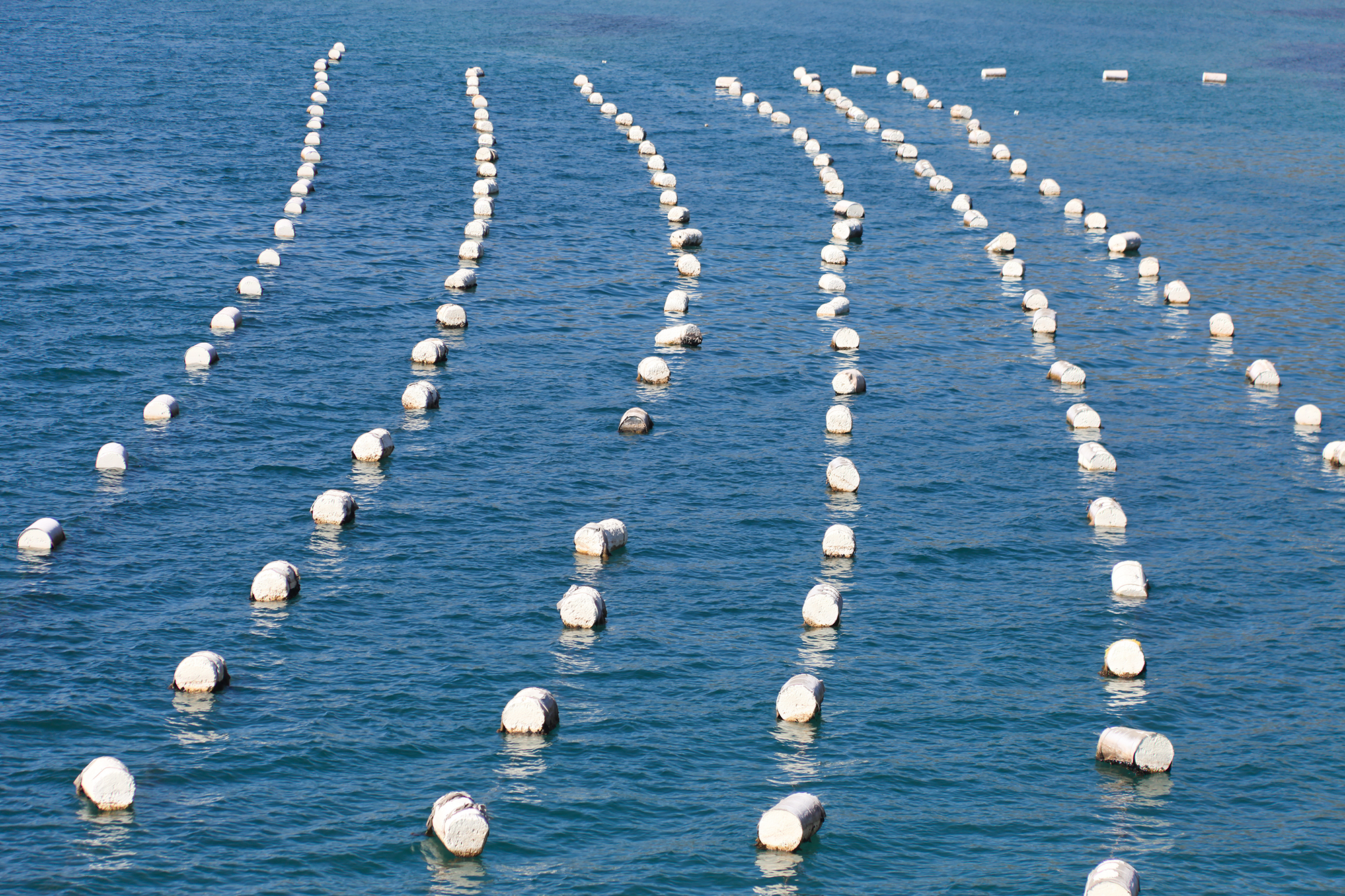 Plastikcontainer im Meer auf einer Muschelfarm