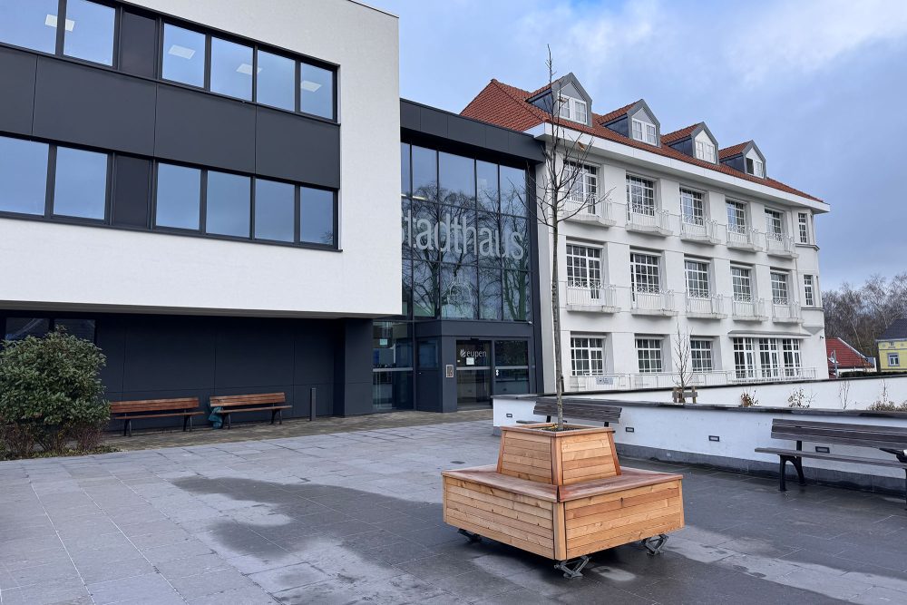 Einer der neuen Wanderbäume steht auf dem Vorplatz des Eupener Stadthauses