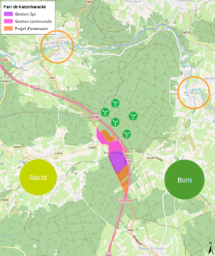 Plan für den Windpark Wolfsbusch