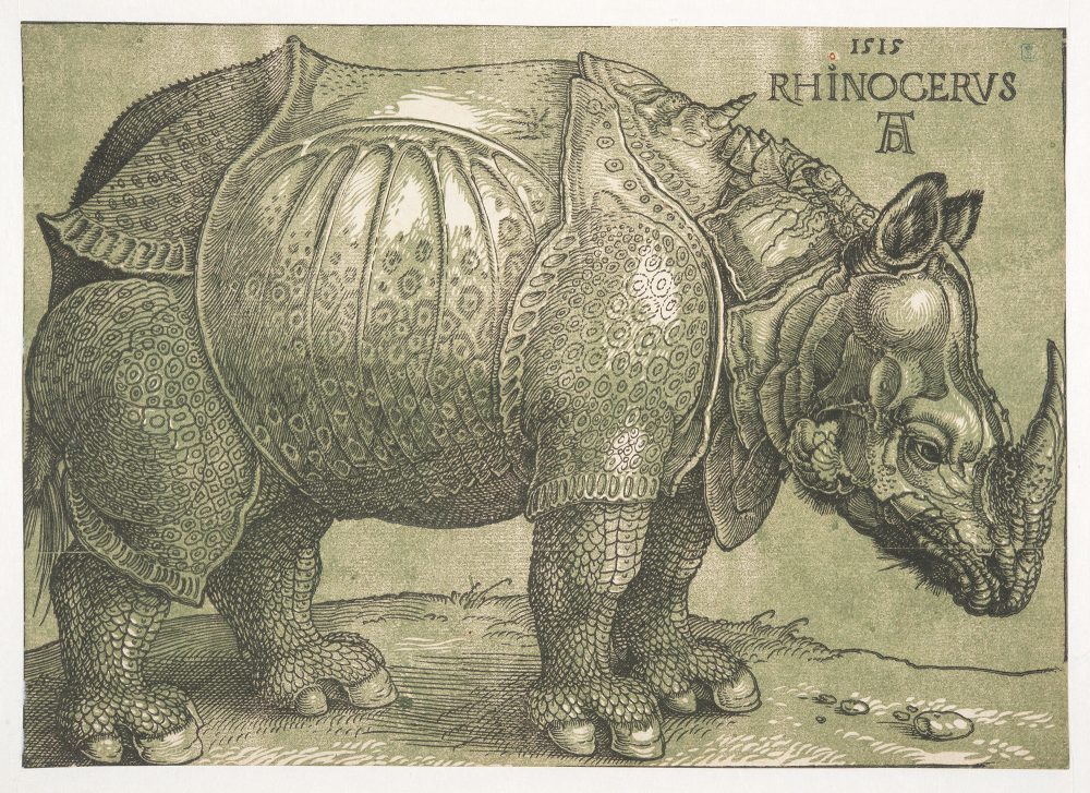 "Rhinocerus" von Albrecht Dürer