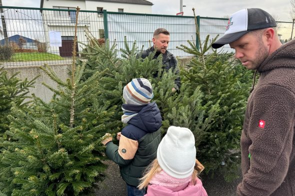 Weihnachtsbaum-Verkaufsstand von Pascal Duveau und Radis Radermacher an der Herbesthaler Straße in Eupen