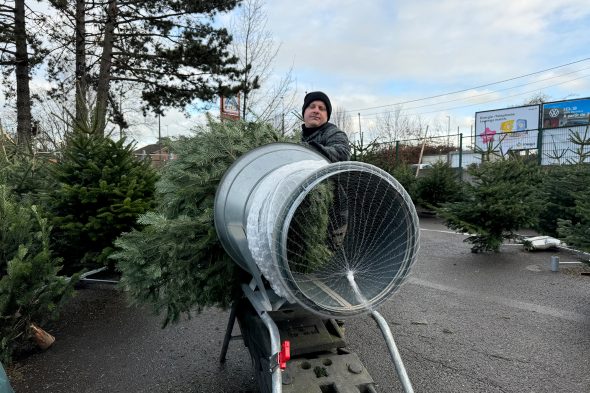 Weihnachtsbaum-Verkaufsstand von Pascal Duveau und Radis Radermacher an der Herbesthaler Straße in Eupen