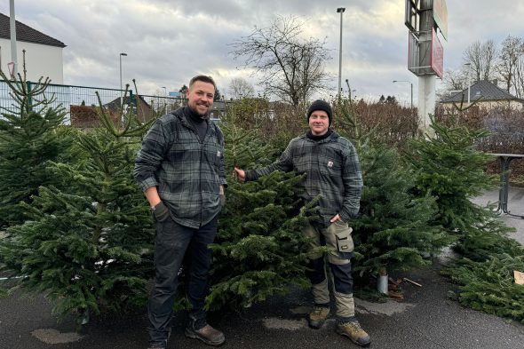 Pascal Duveau und Radis Radermacher an ihrem Weihnachtsbaum-Verkaufsstand an der Herbesthaler Straße in Eupen