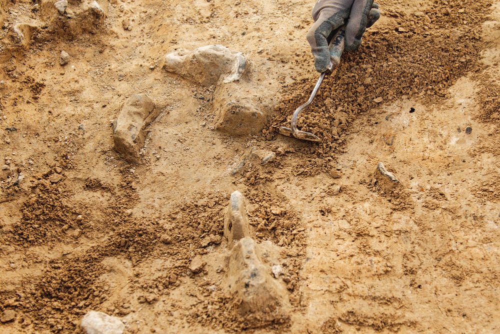 Eine Hand mit einem archäologischen Werkzeug über einem Sandboden